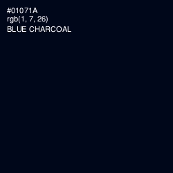 #01071A - Blue Charcoal Color Image